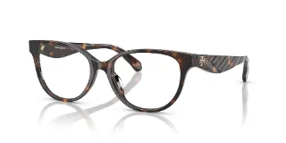 1964 Honey Tortoise