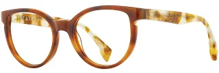 C02 Tortoise Fossil