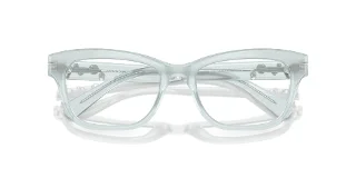 Swarovski Eyeglasses SK2022