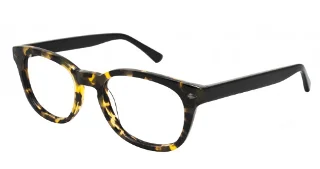 Glen Lane Eyeglasses Livernois