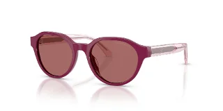 638369 Shiny Violet