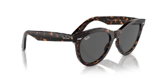 Ray Ban Sunglasses RB2241F