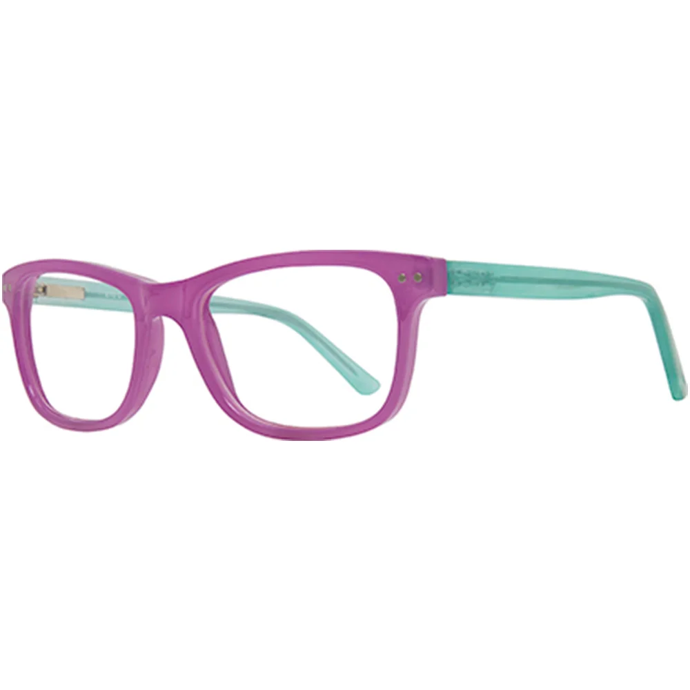 Stylewise Eyeglasses SW529