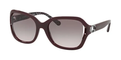 Coach Sunglasses HC8238