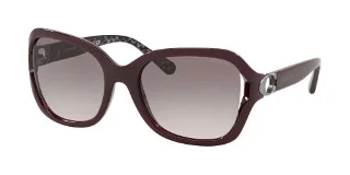 Coach Sunglasses HC8238