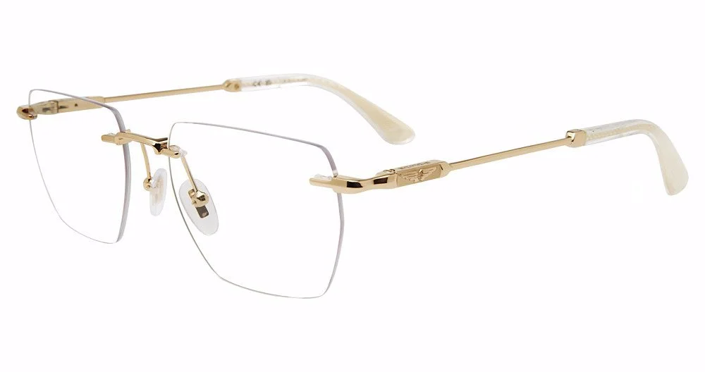 Police Eyeglasses VPLN27