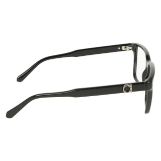 Salvatore Ferragamo Eyeglasses SF3028E