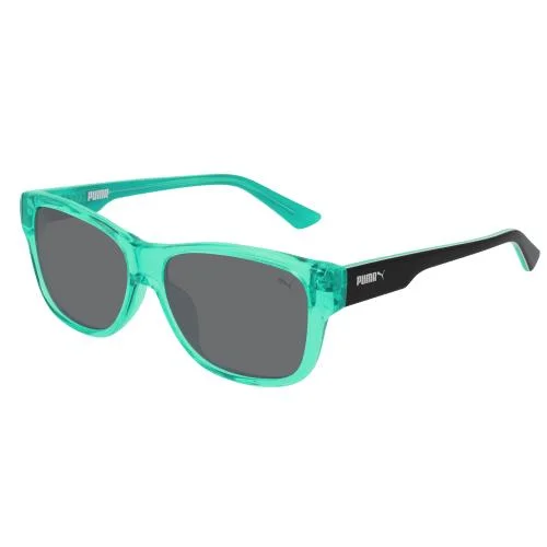 Puma Sunglasses PJ0004S