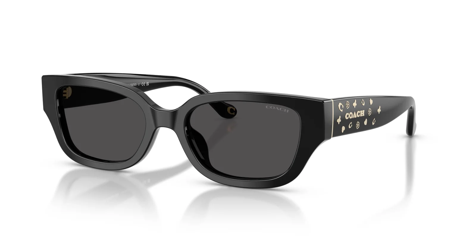 Coach Sunglasses HC8439U