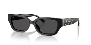 Coach Sunglasses HC8439U