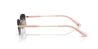 Jimmy Choo Sunglasses JC4013D