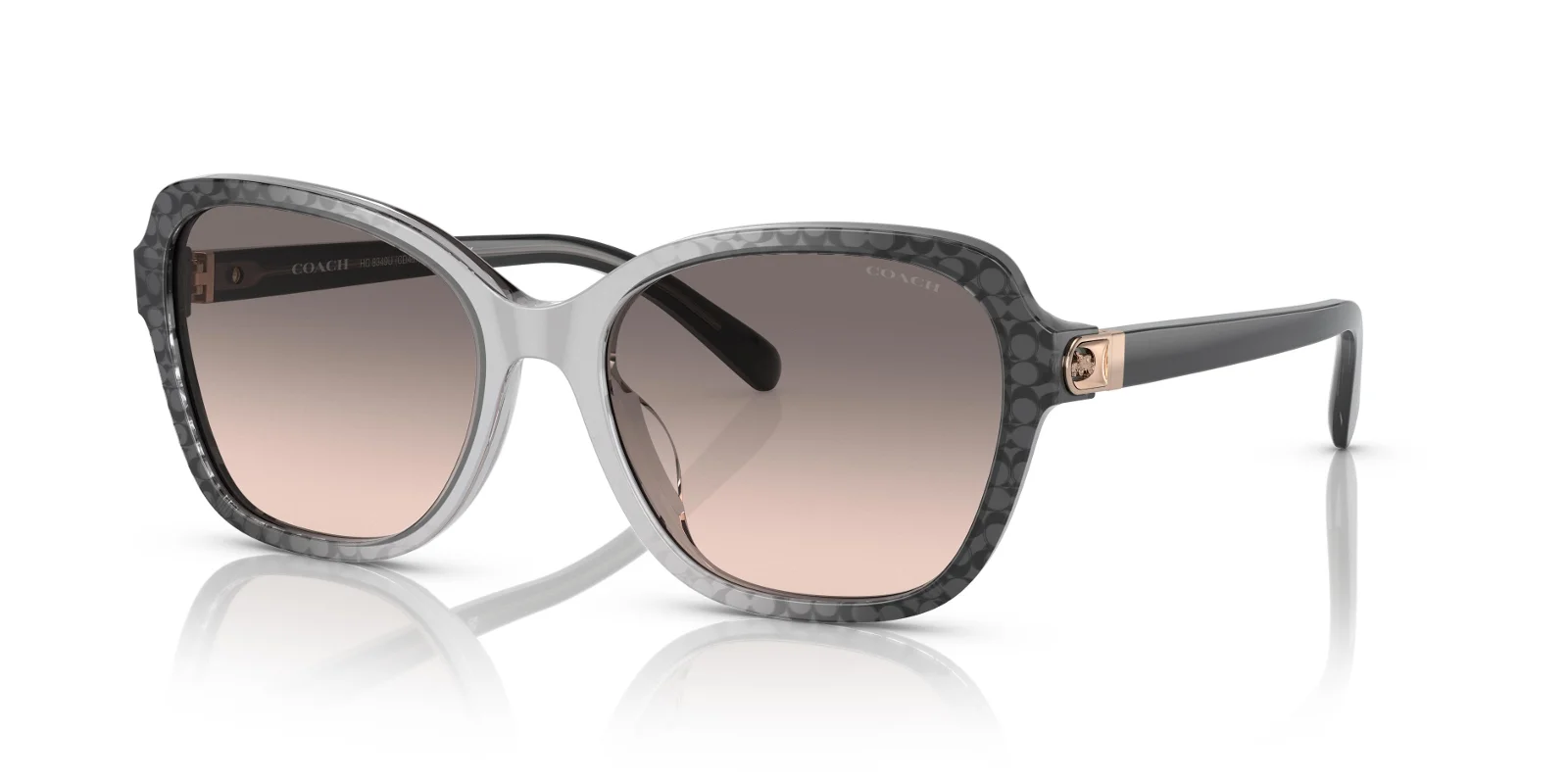 Coach Sunglasses HC8349U