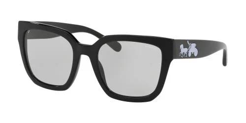 Coach Sunglasses HC8249
