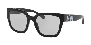 Coach Sunglasses HC8249