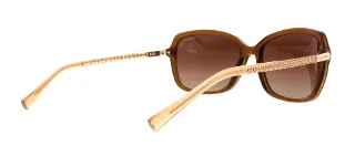 Coach Sunglasses HC8152 L136
