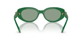 Swarovski Sunglasses SK6002F