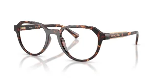 300613 Dark Tortoise