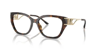 3006 Dark Tortoise