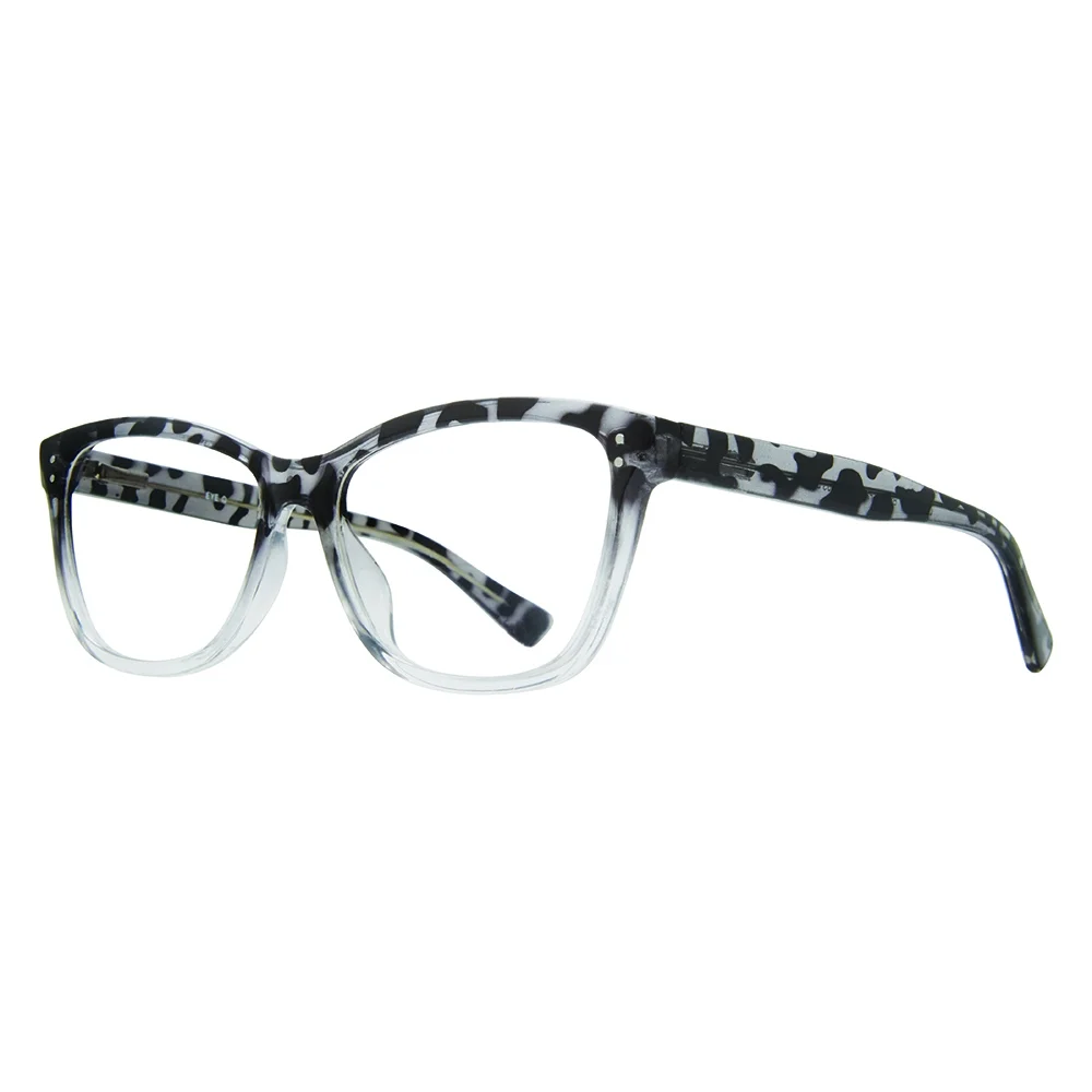 Stylewise Eyeglasses SW456