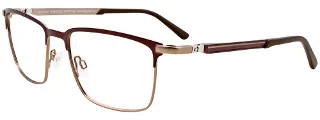 Easyclip Eyeglasses EC496