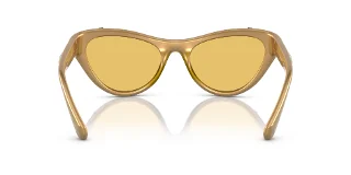 Swarovski Sunglasses SK6007