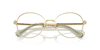 Swarovski Eyeglasses SK1013