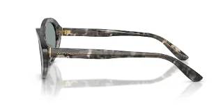 Dolce & Gabbana Sunglasses DG4570