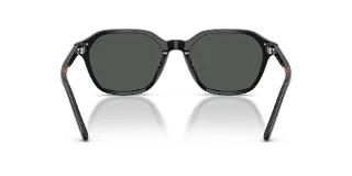 Polo Sunglasses PH4234U