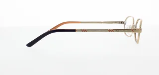Polo Eyeglasses PP8017