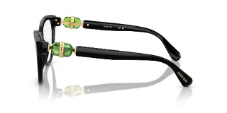 Swarovski Eyeglasses SK2004