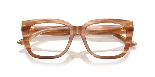 Jimmy Choo Eyeglasses JC3019B