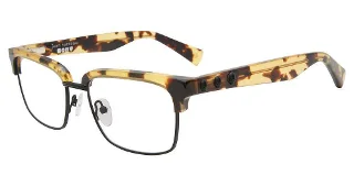 Tortoise/Black