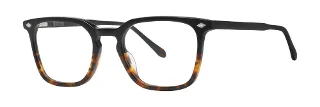 Black Tortoise