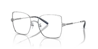 3161 Silver