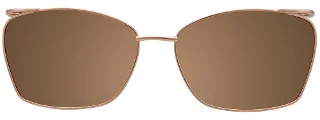 Easyclip Eyeglasses EC484