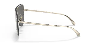 Versace Sunglasses VE2230B