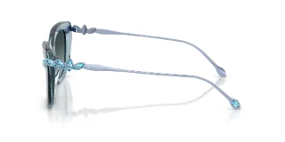 Swarovski Sunglasses SK6065U