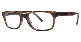 024 Tortoise
