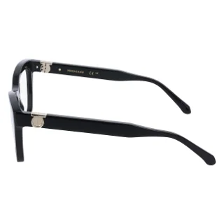 Salvatore Ferragamo Eyeglasses SF3022