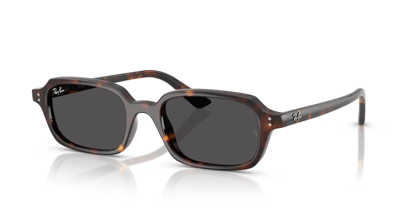 Ray Ban Sunglasses RB4455