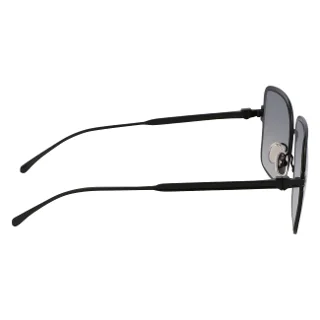 Salvatore Ferragamo Sunglasses SF317S