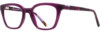 Adin Thomas Eyeglasses AT-STUDIO 004