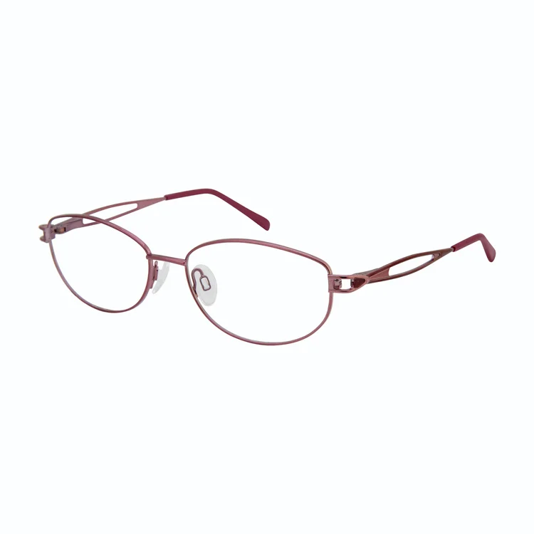 Aristar Eyeglasses AR 30801
