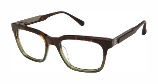 TOR Tortoise Olive