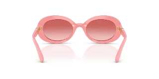 Dolce & Gabbana Sunglasses DX6007U
