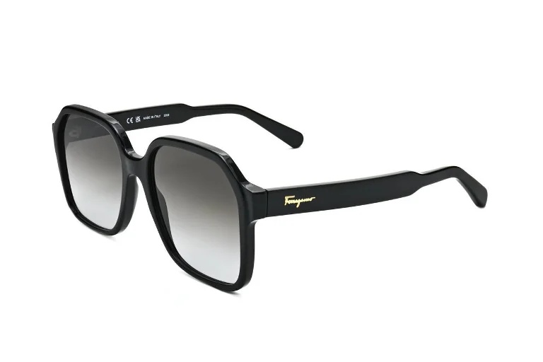 Ferragamo Sunglasses SF1069S