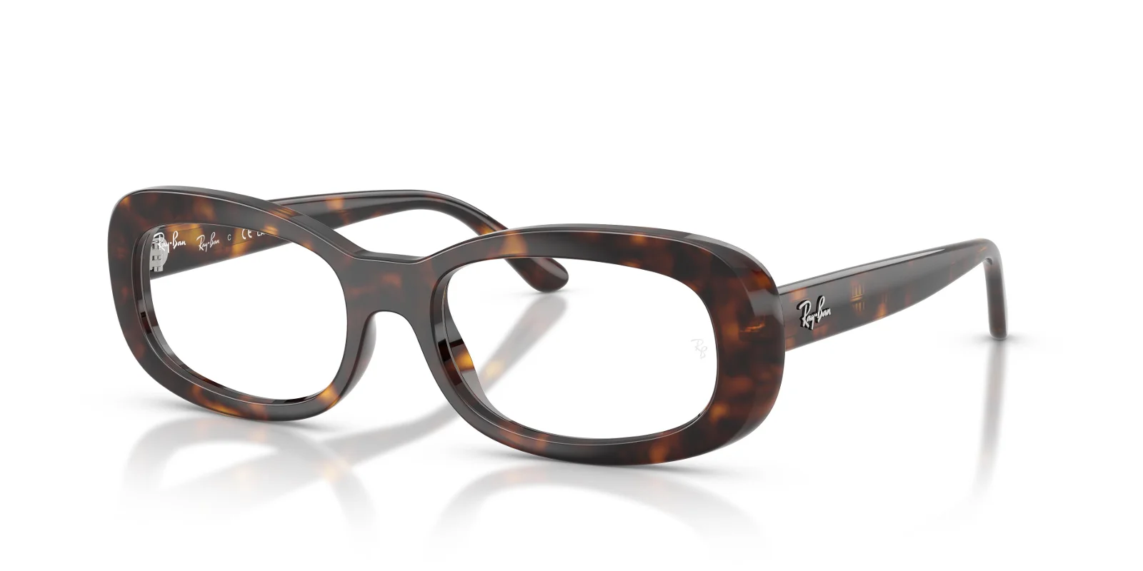 Ray Ban Eyeglasses RX2221V