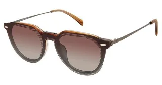 C01 Blonde Tortoise