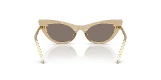 Dolce & Gabbana Sunglasses DX4008