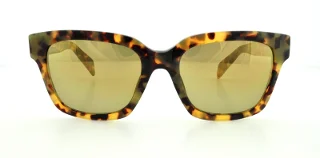 Diesel Sunglasses DL0073
